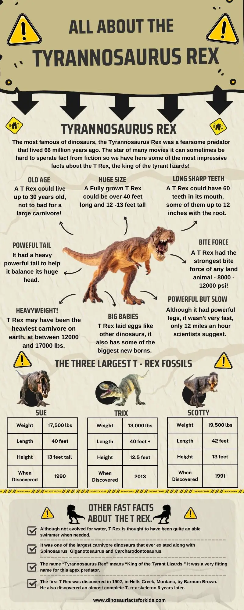 Did The T-Rex Lay Eggs? - Dinosaur Facts For Kids