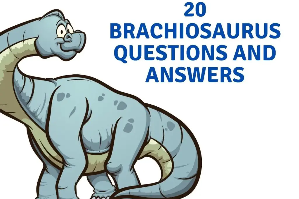 20 Brachiosaurus Questions and Answers