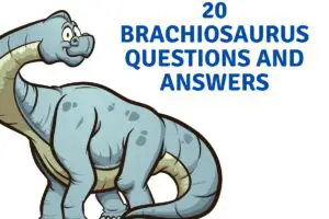 20 Brachiosaurus Questions and Answers