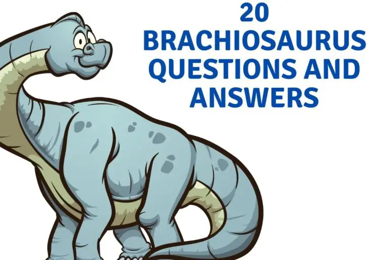 20 Brachiosaurus Questions and Answers