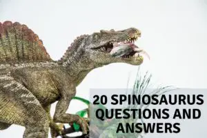 20 Spinosaurus Questions and Answers