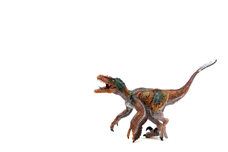 Jurassic Park Velociraptors Vs. Real Velociraptors: Film Fiction vs. Fossil Fact"
Differences between movie velociraptors and real velociraptors, 
Jurassic Park Velociraptors Vs real Velociraptors. 