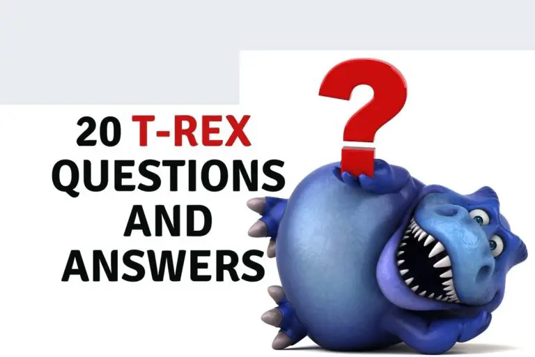 Tyrannosaurus Rex: 20 Questions and Answers.