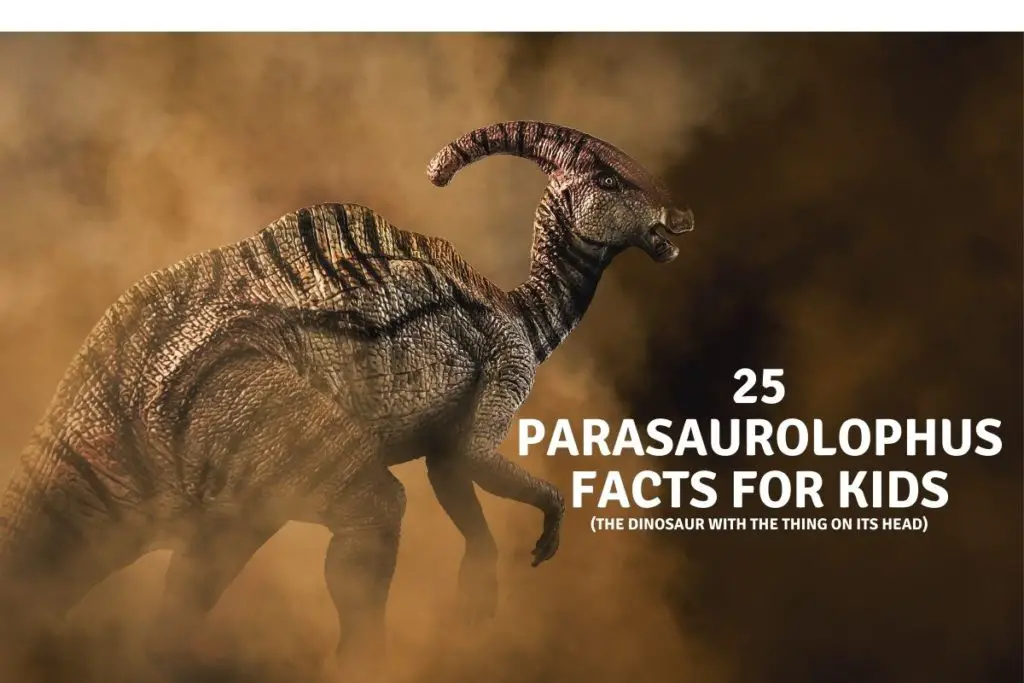 25 Parasaurolophus Facts For Kids
