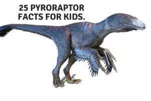 25 Pyroraptor Facts For Kids. (2)