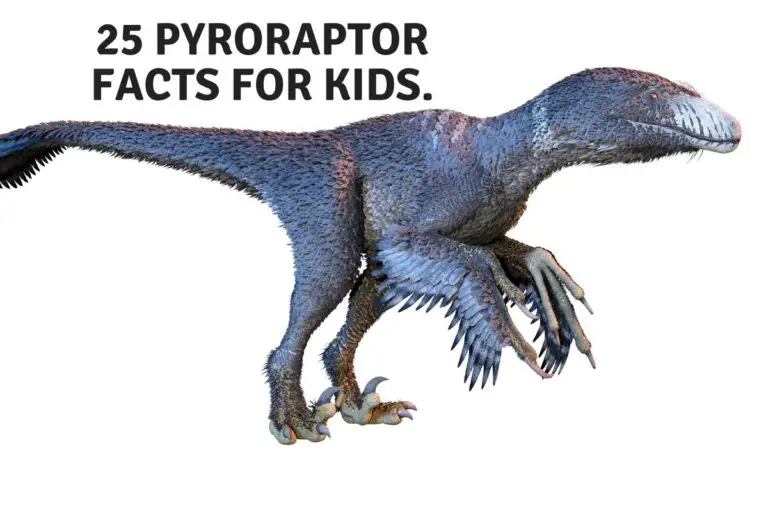 25 Pyroraptor Facts For Kids.