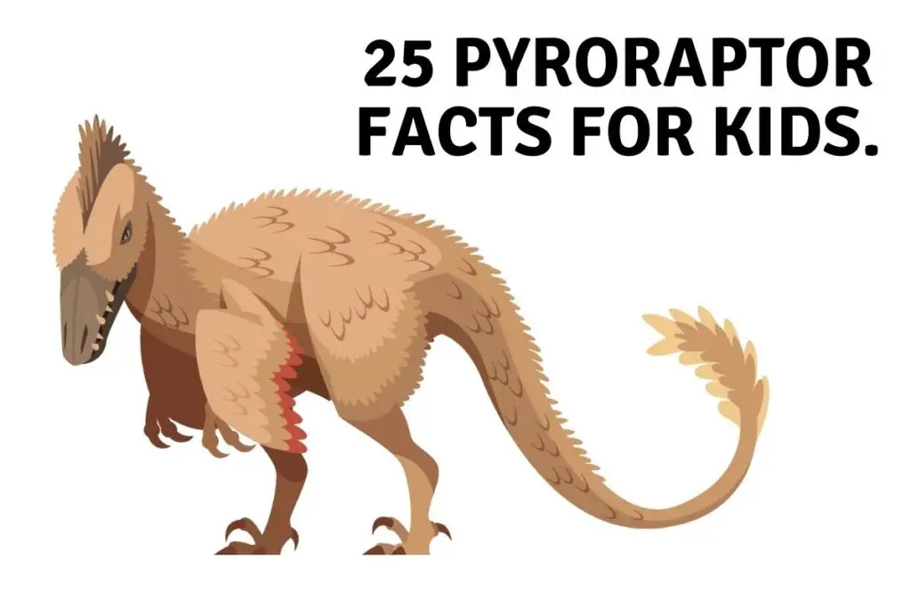 25 Pyroraptor Facts For Kids.