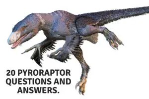 25 Pyroraptor Facts For Kids. (2)