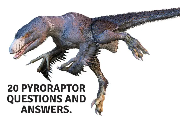 20 Pyroraptor Questions and Answers.