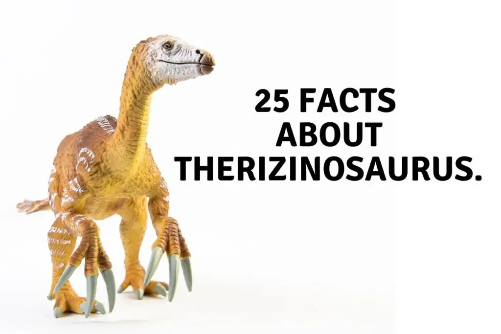 25 facts about therizinosaurus for kids