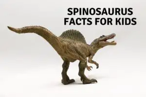 25 Spinosaurus facts for kids