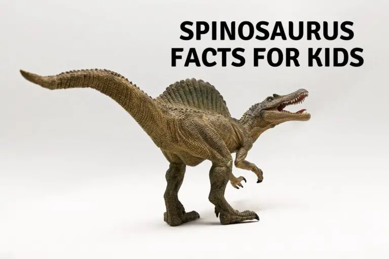 25 Spinosaurus Facts For Kids.