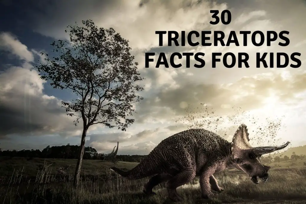 30 Triceratops Facts for Kids