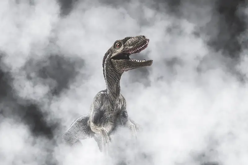 30 Velociraptor Facts For Kids.