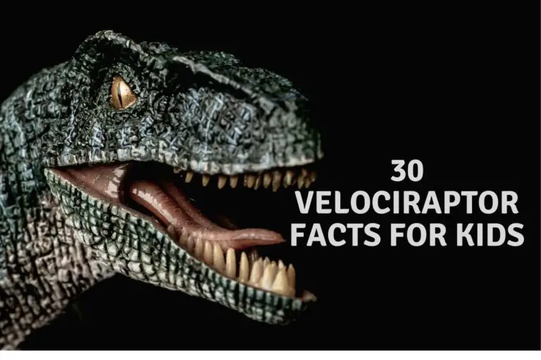 25 Velociraptor Facts For Kids.