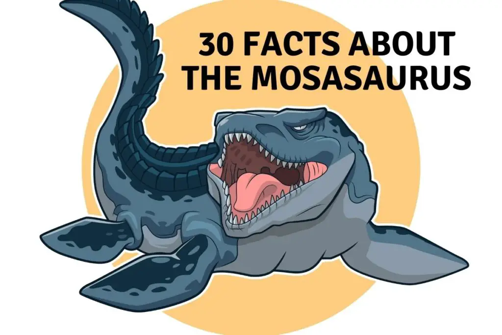 30 facts about the Mosasaurus