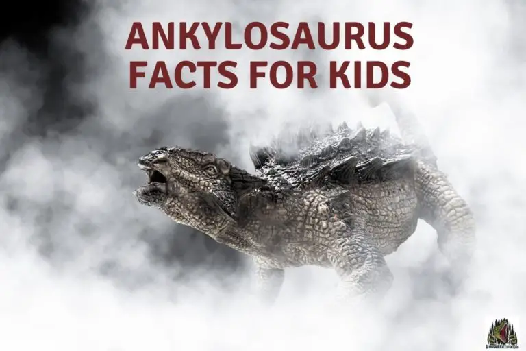 Ankylosaurus Facts For Children