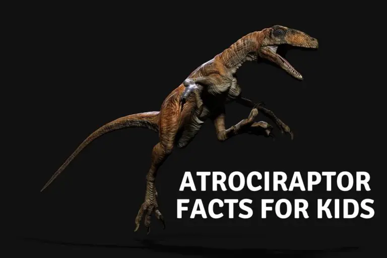 Atrociraptor Facts For Kids