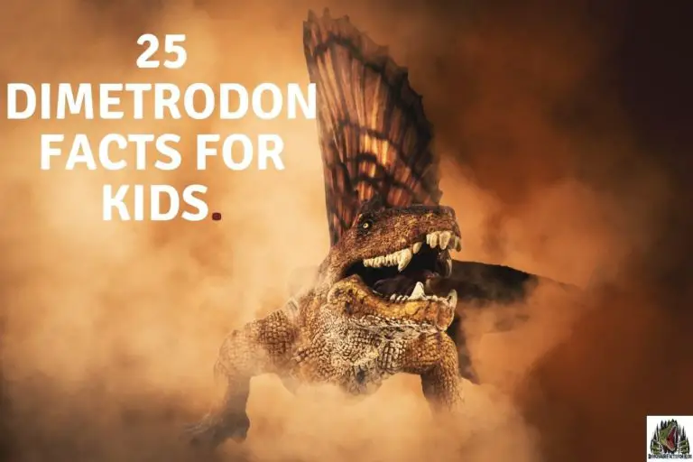 23 Dimetrodon Facts For Kids.