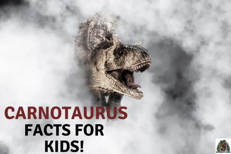 25 Carnotaurus Facts For Kids