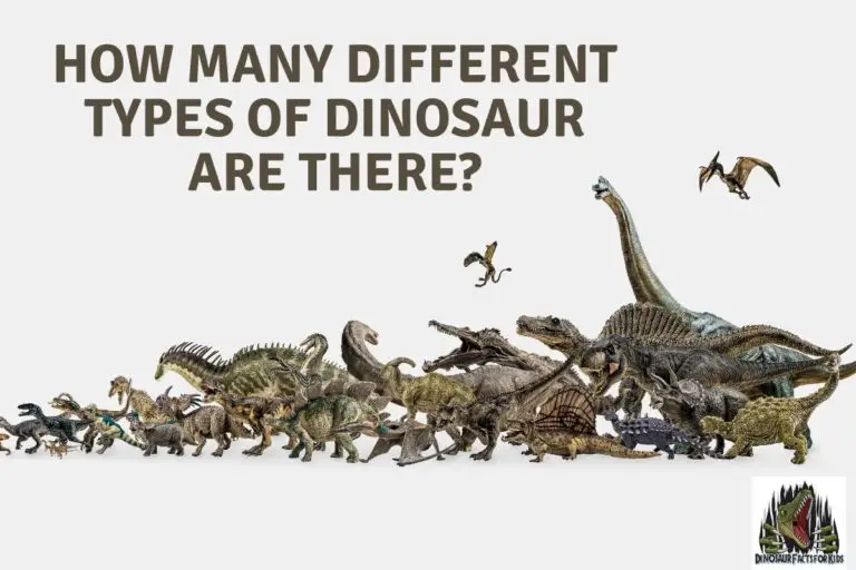 What  Are The Different Types of Dinosaur? All Dinosaur Species!
