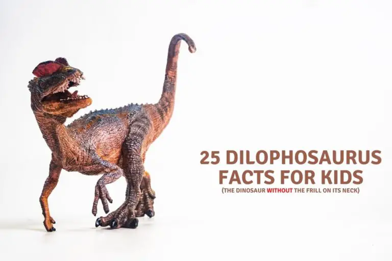25 Dilophosaurus  Facts For Kids