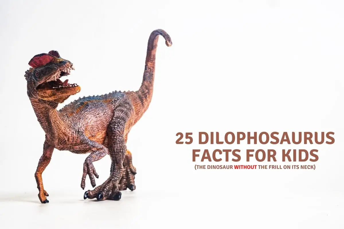 Dilophosaurus Facts for Kids