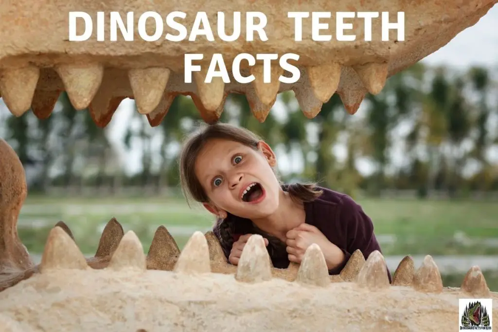 Dinosaur teeth facts