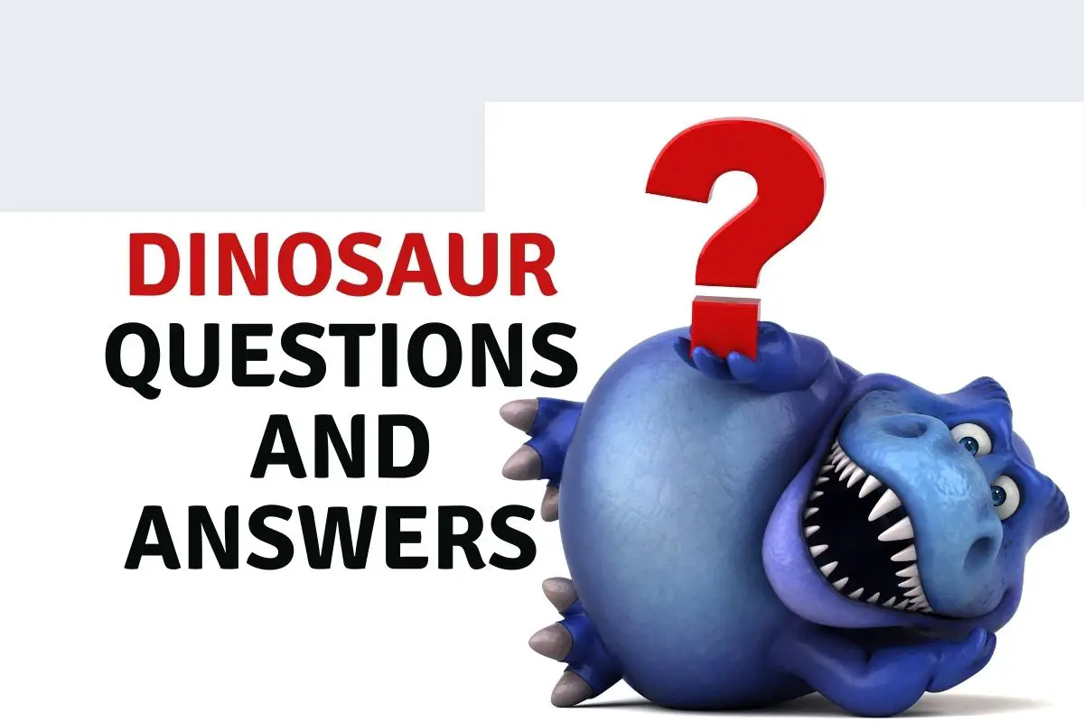 Dinosaur Questions and Answers