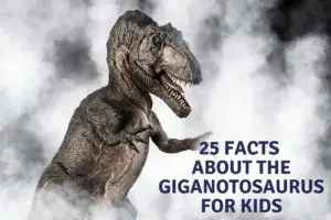 Facts About The Giganotosaurus For Kids