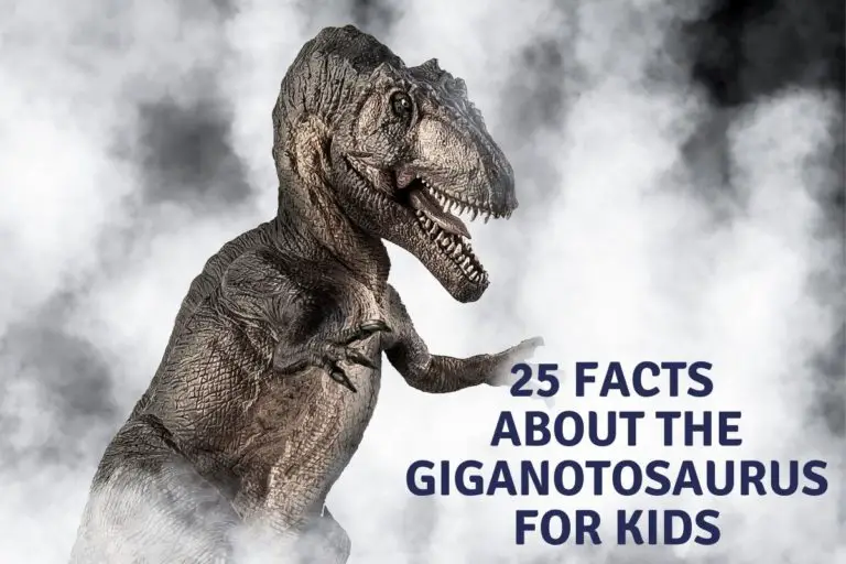 25 Facts About The Giganotosaurus For Kids
