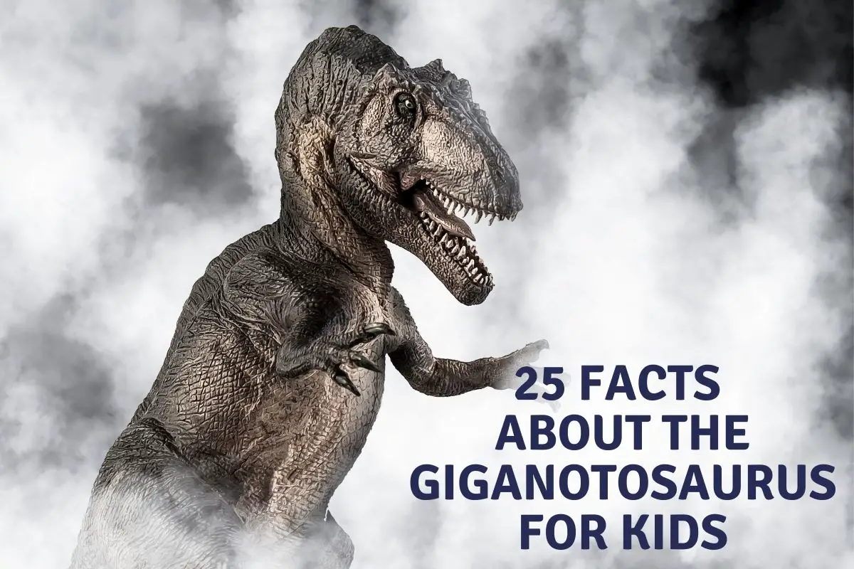 Facts About The Giganotosaurus For Kids