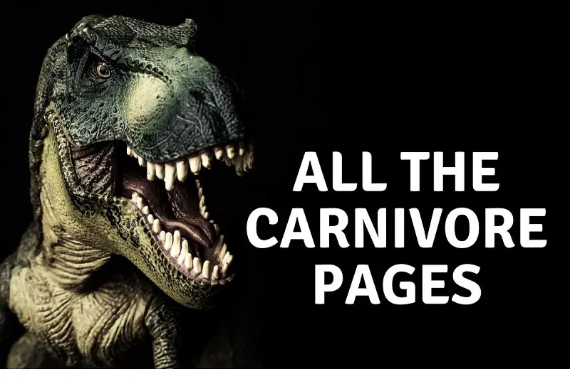 Dinosaur Carnivore facts