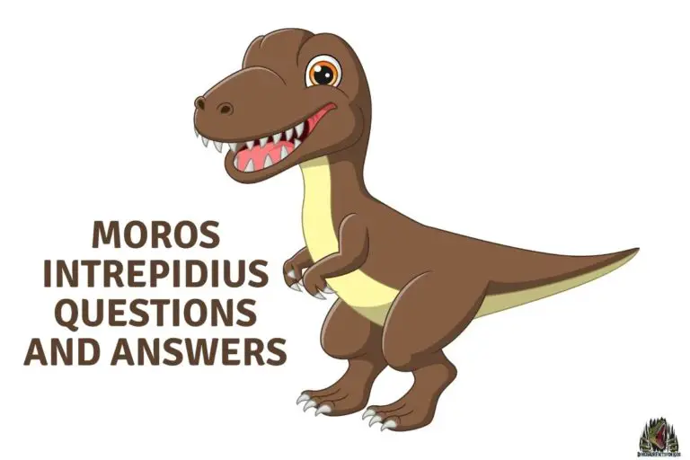 20 Moros Intrepidus Questions and Answers.