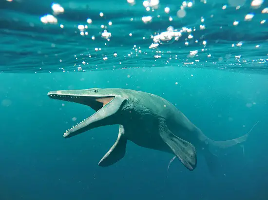 Mosasaurus,,17m,Aquatic,Lizard,,Between,70,And,66,Million,Years