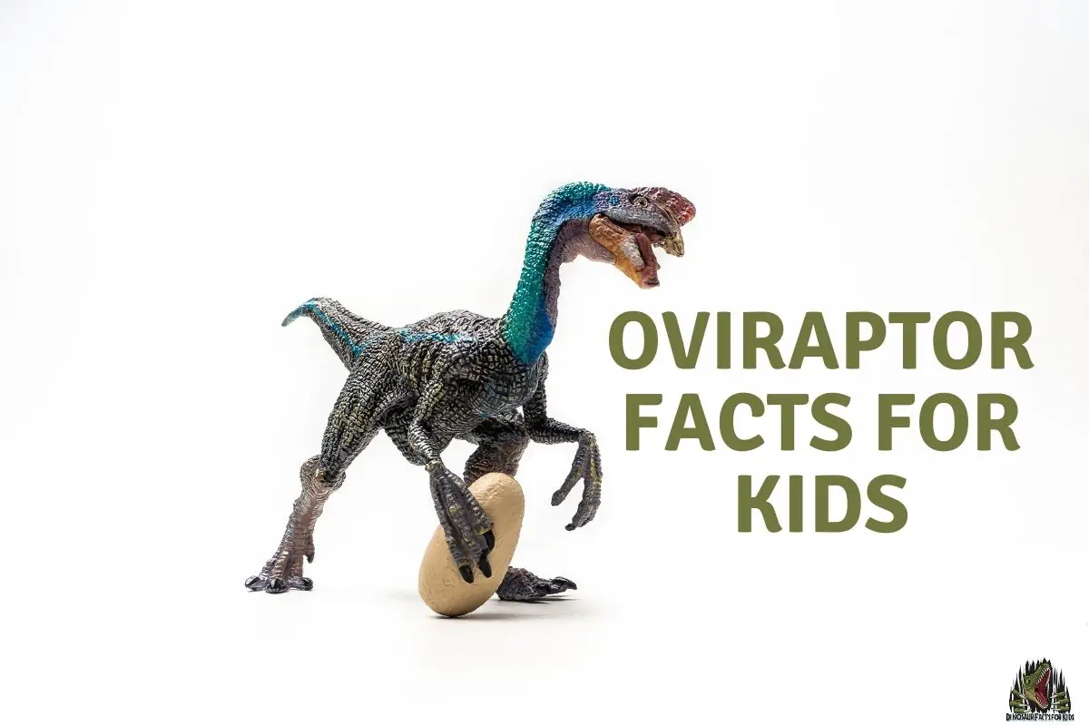 Oviraptor facts for kids (2)