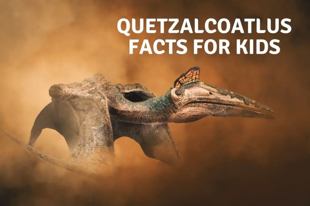 Quetzalcoatlus Facts for kids