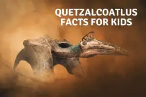 Quetzalcoatlus Facts for kids