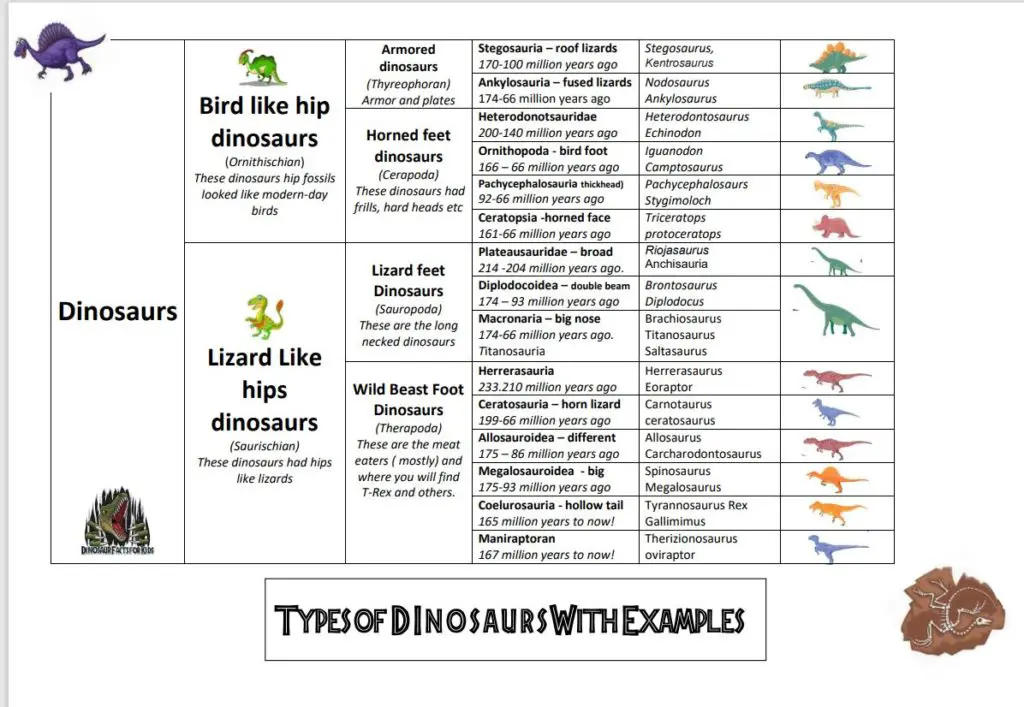 Type of dinosaurs for kids with the main families of dinosaur and their names. Includes pictures o dinosaurs to help