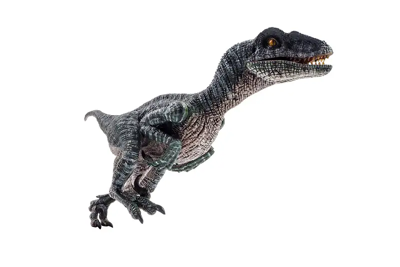 Velociraptor question and answers