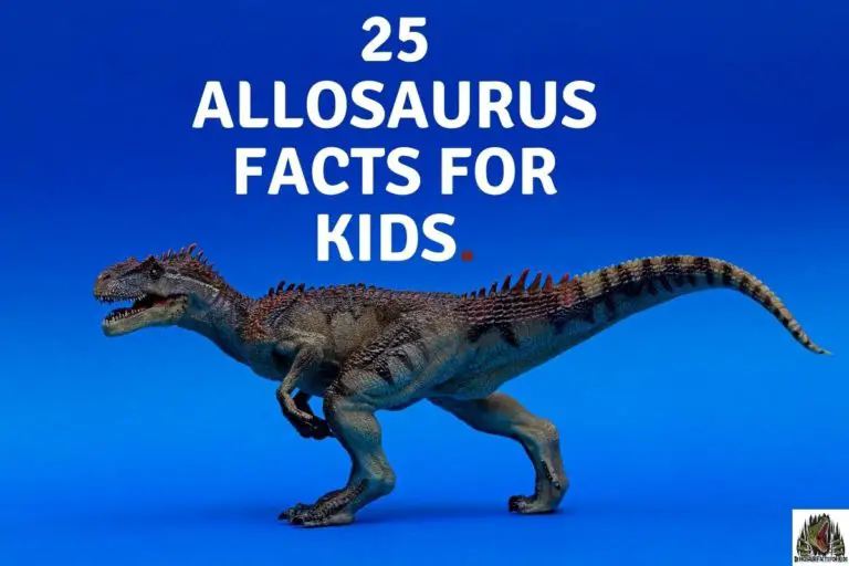 25 Allosaurus Facts For Kids.