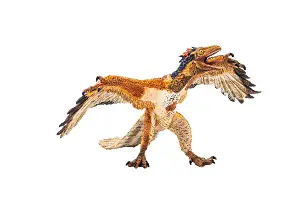 sinornithosaurus scary dinosaur