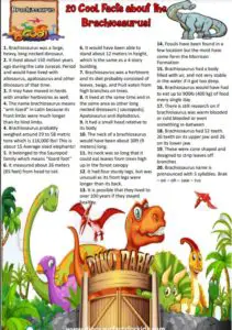 brachiosaurus fact sheet for kids