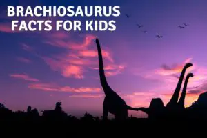 brachiosaurus facts for kids