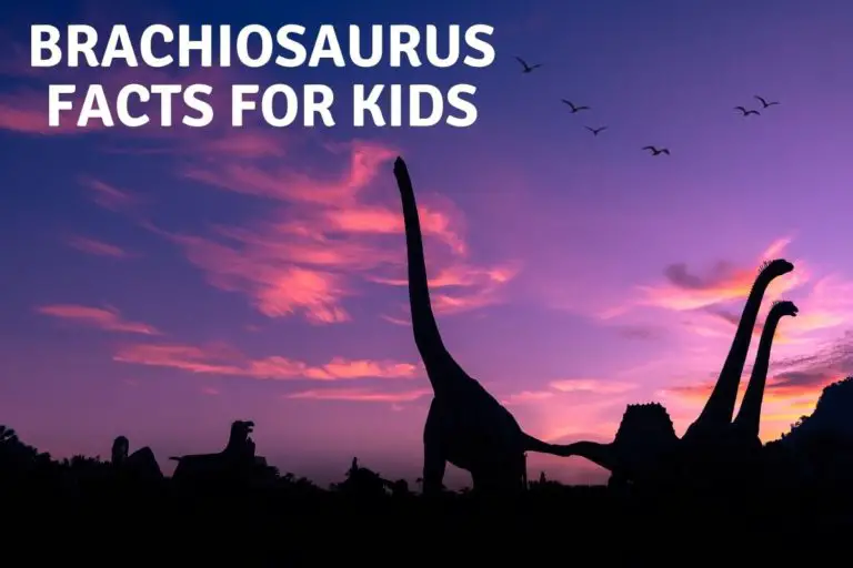 25 Brachiosaurus Facts For Kids