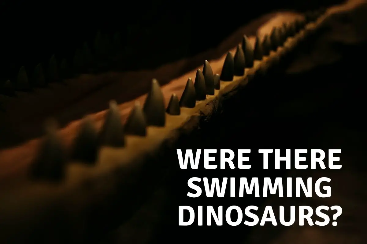 could dinosaurs swim