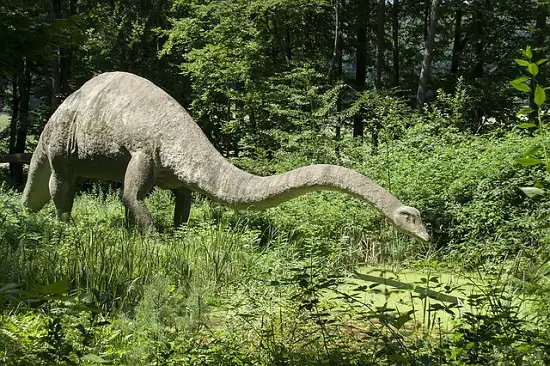 diplodocus long neck dinosaur