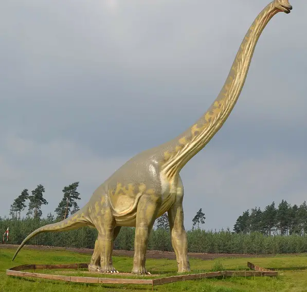 Amphicoelias biggest dinosaur in the world
