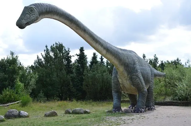 dreadnoughtus long neck dinosaur