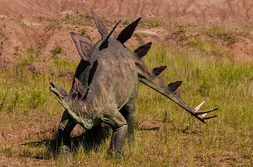 Stegosaurus Scary dinosaur spikes 
